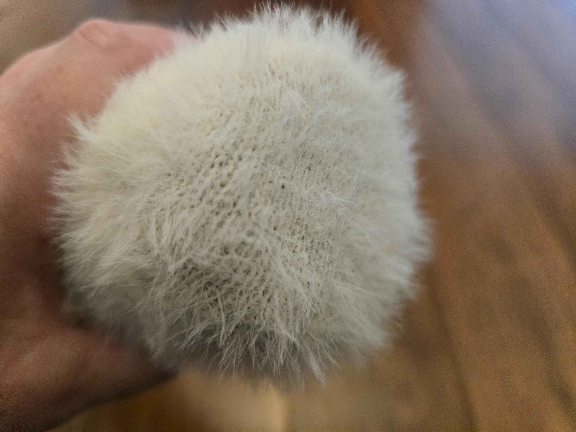 Handmade Plush Thumper Paddle – Soft Exterior, Solid Core (UK)